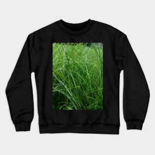 Think green Crewneck Sweatshirt